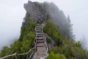 世界乒乓球公开赛：长时间拉锯战成经典，世界乒乓大赛